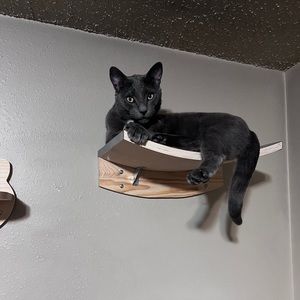 Meet your Posher, William